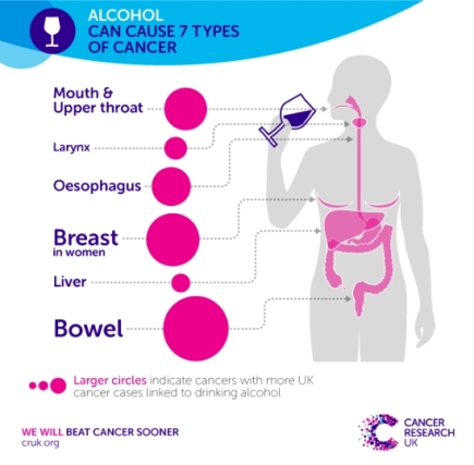alcohol-infographic
